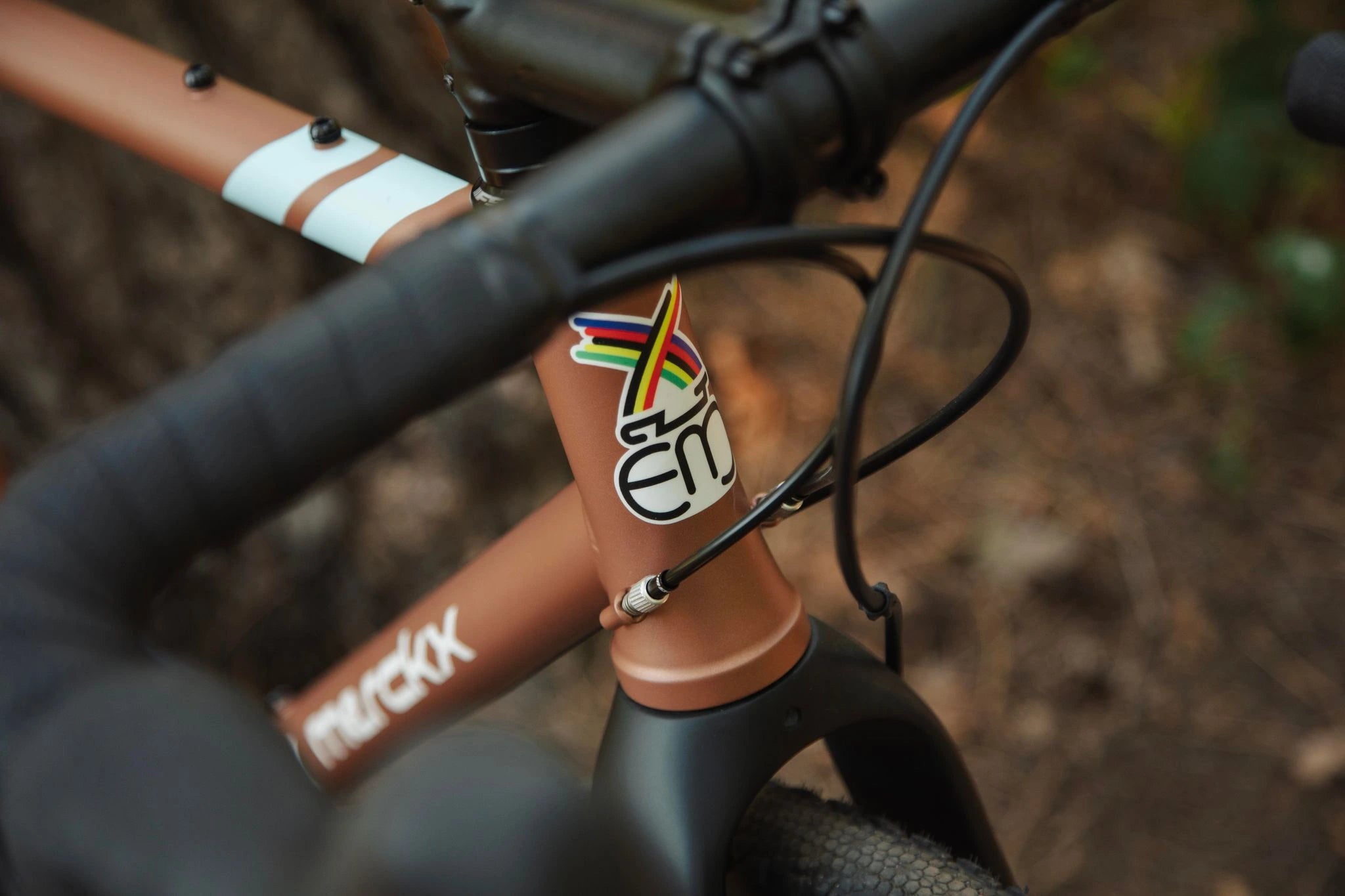 Eddy Merckx Strasbourg ST Stahl Gravel Rahmenset Carbon Gabel