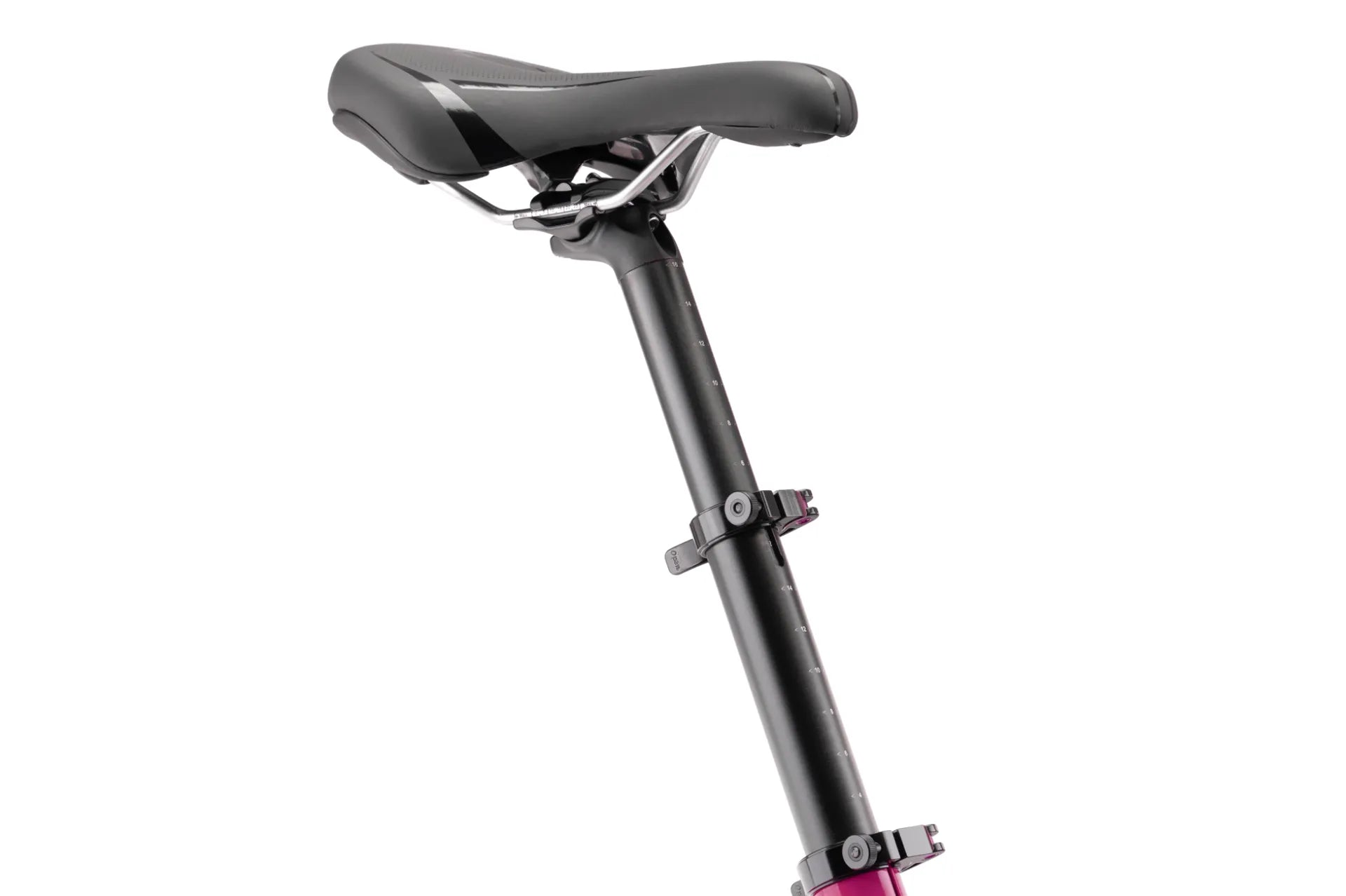TERN e-compact bike HSD P5i 2025 belt drive 5-speed SHIMANO Nexus Inter 5-E, BOSCH Smart System, Performance Line, 545 Wh