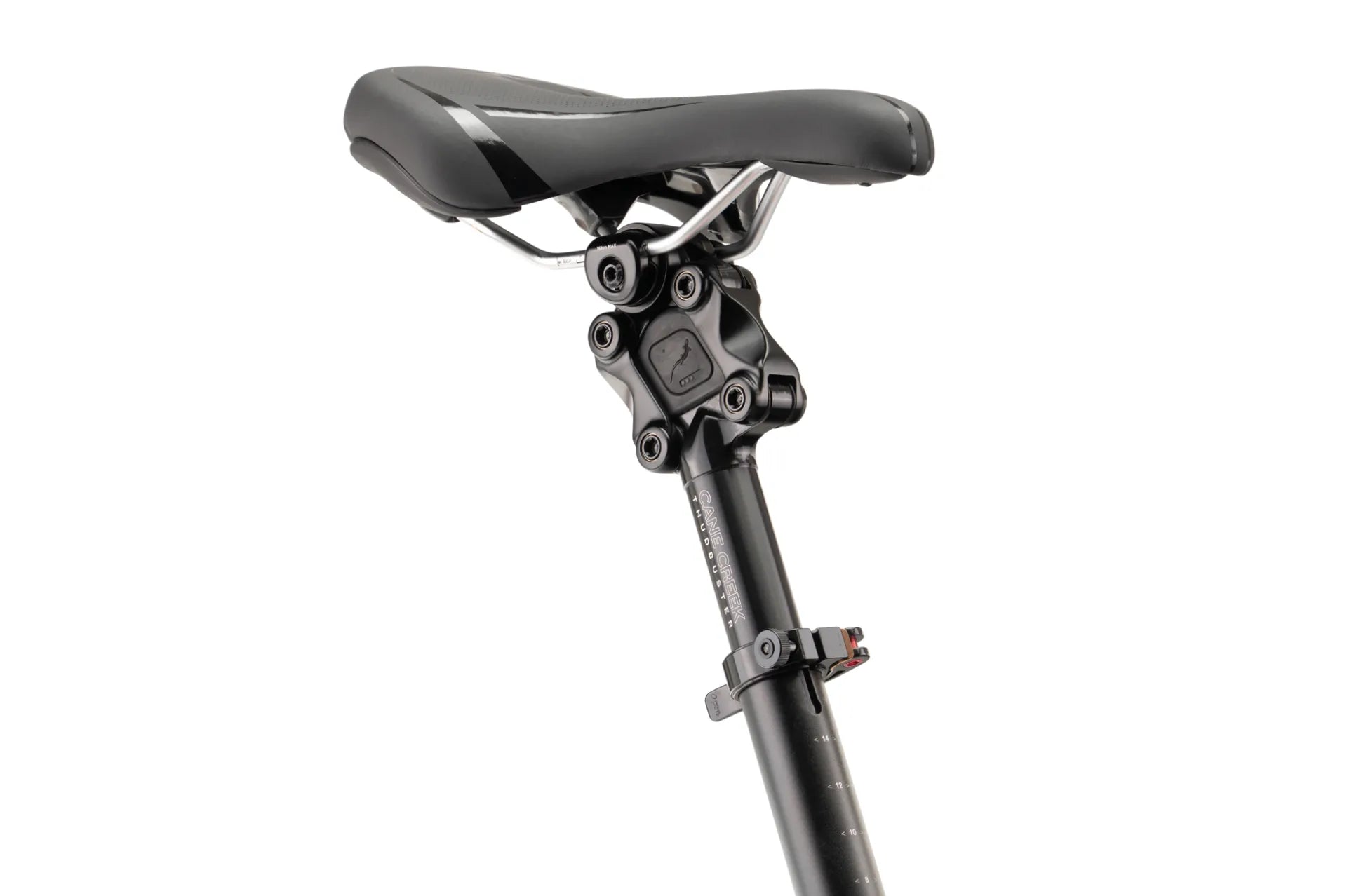 TERN e-Kompaktrad HSD S00 2025 ENVIOLO "Heavy Duty" stufenlos BOSCH Performance 545Wh Gates CDX-Riemenantrieb, Bremslicht, Kiox300 Display Bosch Diebstahlschutz