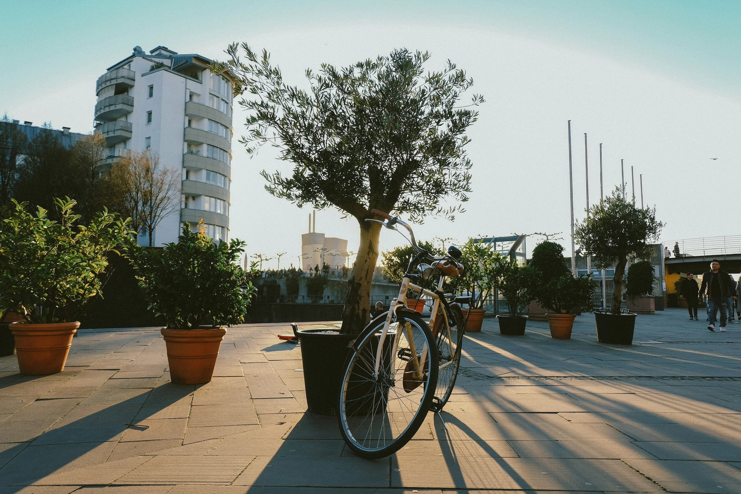 Citybikes