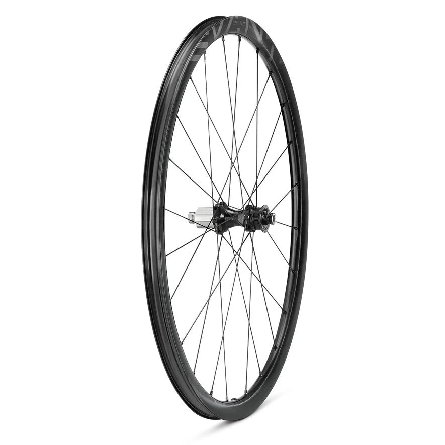 Campagnolo Levante DB Carbon Laufradsatz Gravel Disc 12x100 / 12x142 mm Steckachse